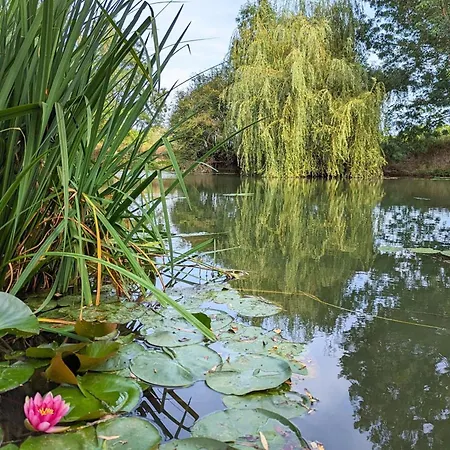 Confortable Au Bord De La Riviere Avec Wi-fi - Fr-1-653-117 Vakantiehuis