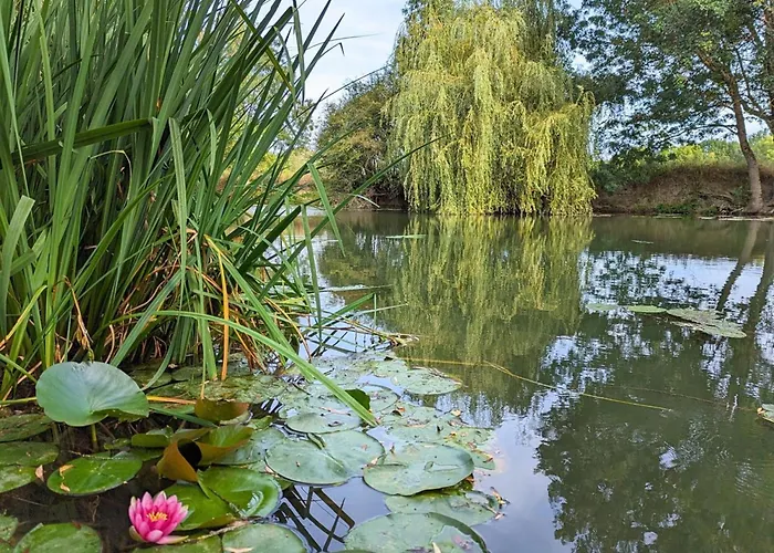 Confortable Au Bord De La Riviere Avec Wi-fi - Fr-1-653-117 Vakantiehuis